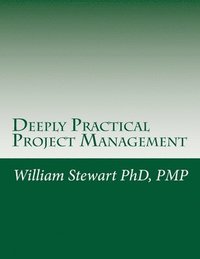bokomslag Deeply Practical Project Management