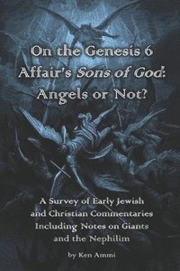 bokomslag On the Genesis 6 Affair's Sons of God