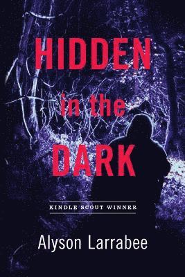 Hidden in the Dark 1