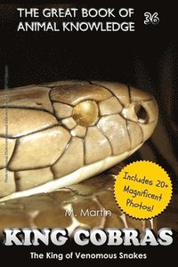 bokomslag King Cobras