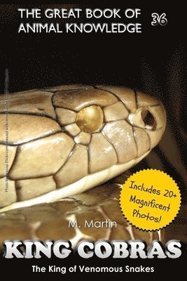 bokomslag King Cobras