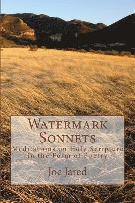 bokomslag Watermark Sonnets: Meditations on Holy Scripture in the Form of Poetry