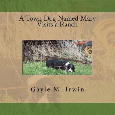 A Town Dog Named Mary Visits a Ranch 1