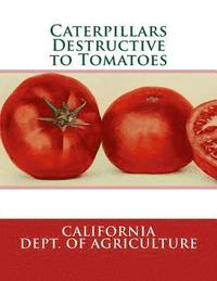 bokomslag Caterpillars Destructive to Tomatoes