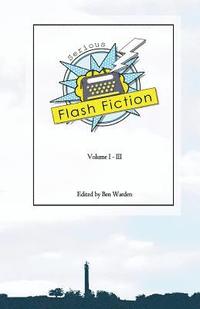 bokomslag Serious Flash Fiction: Volume 3