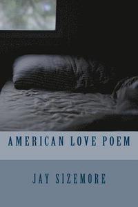 bokomslag American Love Poem