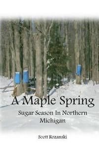 bokomslag A Maple Spring: Sugar Season in Northern Michigan
