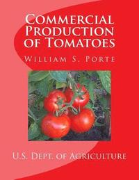 bokomslag Commercial Production of Tomatoes