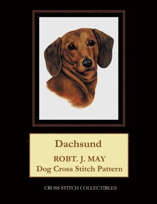 bokomslag Dachsund