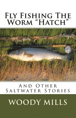 bokomslag Fly Fishing The Worm 'Hatch': And Other Saltwater Stories