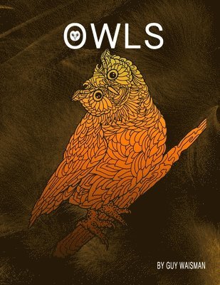 bokomslag Owls