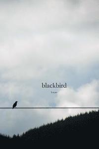 bokomslag blackbird