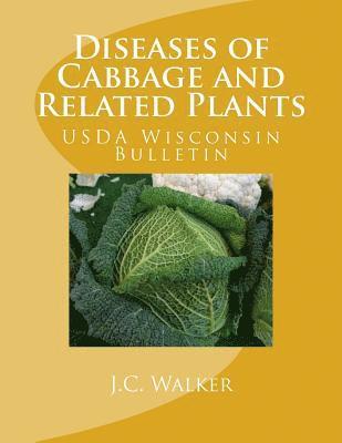bokomslag Diseases of Cabbage and Related Plants: USDA Wisconsin Bulletin
