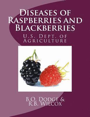 bokomslag Diseases of Raspberries and Blackberries