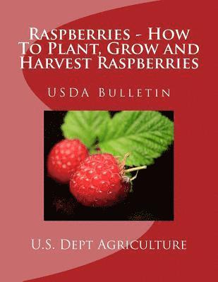 U. S. Dept of Agriculture - Raspberries - How To Plant, Grow and Harvest Raspberries: USDA Bulletin, Häftad