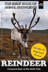 bokomslag Reindeer: Crowned Deer of the North Pole