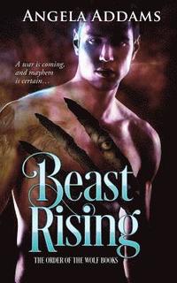 bokomslag Beast Rising