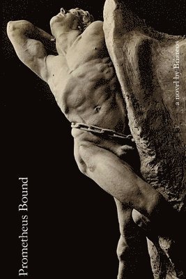 bokomslag Prometheus Bound