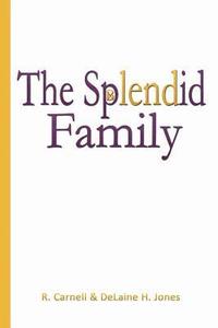 bokomslag The Splendid Family
