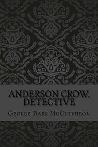 bokomslag Anderson Crow, detective