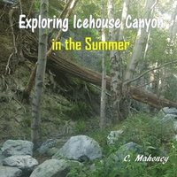 bokomslag Exploring Icehouse Canyon in the Summer