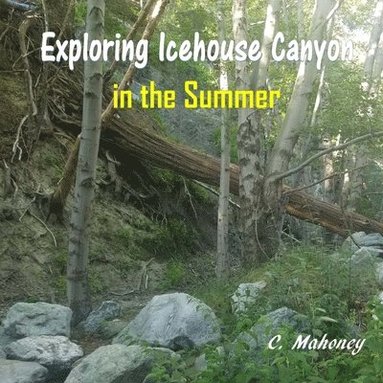 bokomslag Exploring Icehouse Canyon in the Summer