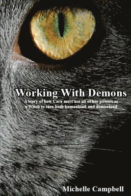 bokomslag Working With Demons