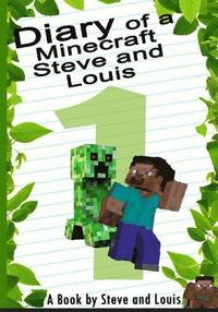 bokomslag Diary of a Minecraft Steve & Louis: Journey to the Sunken Temple