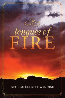 bokomslag Tongues of Fire