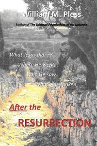bokomslag After the Resurrection: What Jesus did...Where he went...Who he saw...What was spoken...