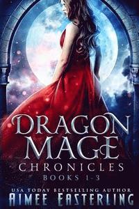 bokomslag Dragon Mage Chronicles