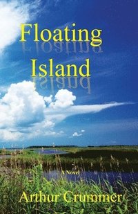 bokomslag Floating Island: Paul Awakens