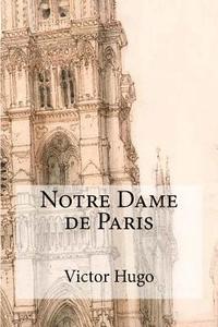 bokomslag Notre dame de Paris