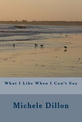 Michele C. Dillon - What I Like When I Can't Say, Häftad