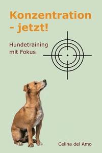 bokomslag Konzentration - jetzt!: Hundetraining mit Fokus