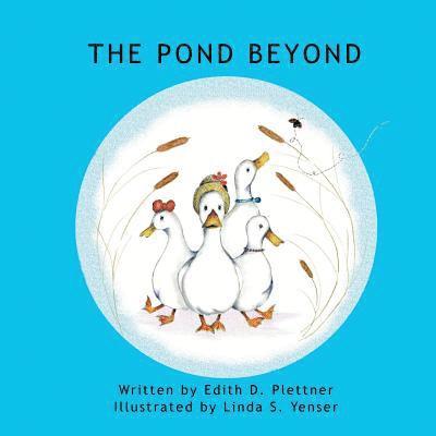 The Pond Beyond 1