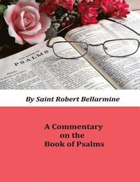 bokomslag Commentary on the Book of Psalms