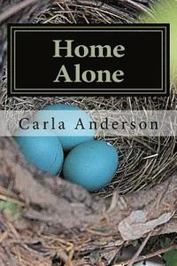 bokomslag Home Alone