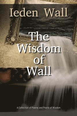 bokomslag The Wisdom of Wall