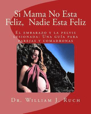 bokomslag Si Mama No Esta Feliz, Nadie Esta Feliz: El embarazo y la pelvis lesionada: Una guía para parejas y comadronas