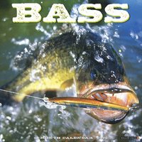bokomslag Bass 2026 12 X 12 Wall Calendar
