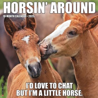 bokomslag Horsin' Around 2026 12 X 12 Wall Calendar