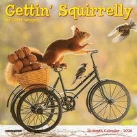 bokomslag Gettin' Squirrelly 2026 7 X 7 Mini Wall Calendar