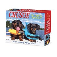 bokomslag Crusoe the Celebrity Dachshund 2026 5.4 X 6.2 Box Calendar