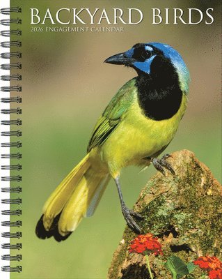 Backyard Birds 2026 6.5 X 8.5 Engagement Calendar