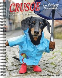 bokomslag Crusoe the Celebrity Dachshund 2026 6.5 X 8.5 Engagement Calendar