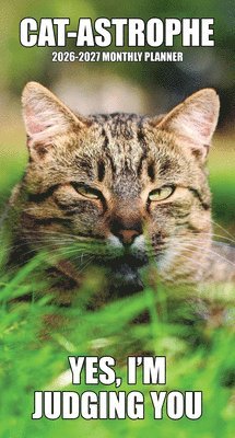 bokomslag Cat-Astrophe 2-Year 2026-27 3.5 X 6.5 Monthly Pocket Planner