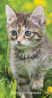 bokomslag Cute as a Kitten 2-Year 2026-27 3.5 X 6.5 Monthly Pocket Planner