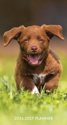 Willow Creek Press - Puppy Love 2-Year 2026-27 3.5 X 6.5 Monthly Pocket Planner, Häftad