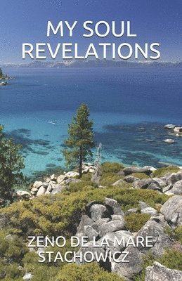 bokomslag My Soul Revelations